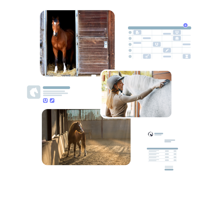 Un logiciel de gestion et facturation pour écurie de propriétaire